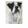 Crestview Collection Charlie 30 in. x 40 in. x 1.5 in. Print On Stretched Canvas, CVTOP2557 -Crestview Collection Shop 1713252